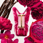 Coffret La Bomba
