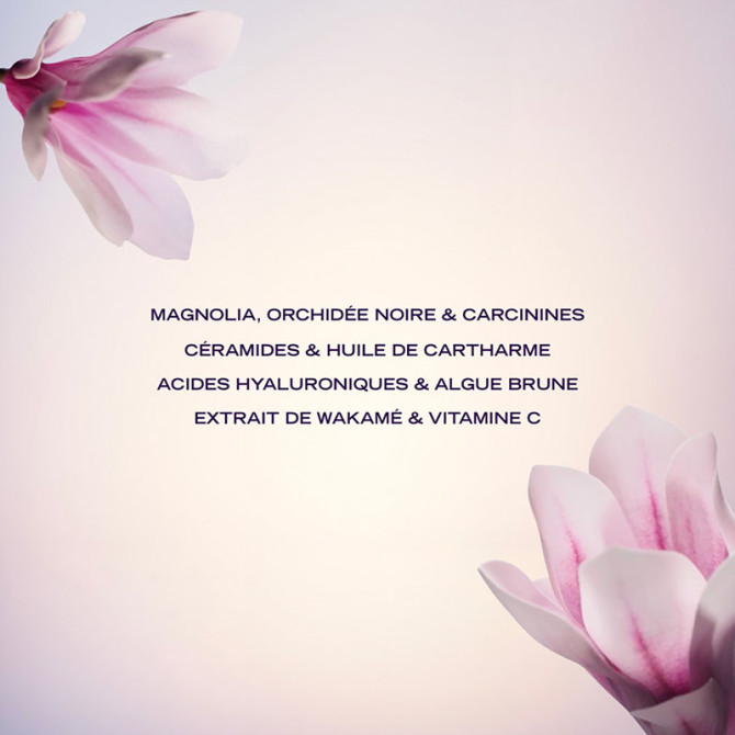 Suprême Absolu Crème Pro Age