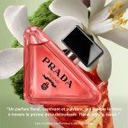 Paradoxe 30 ml