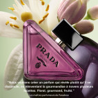 Paradoxe Sweet Chemistry