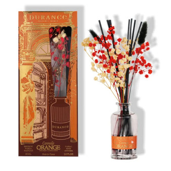 Diffuseur de Parfum