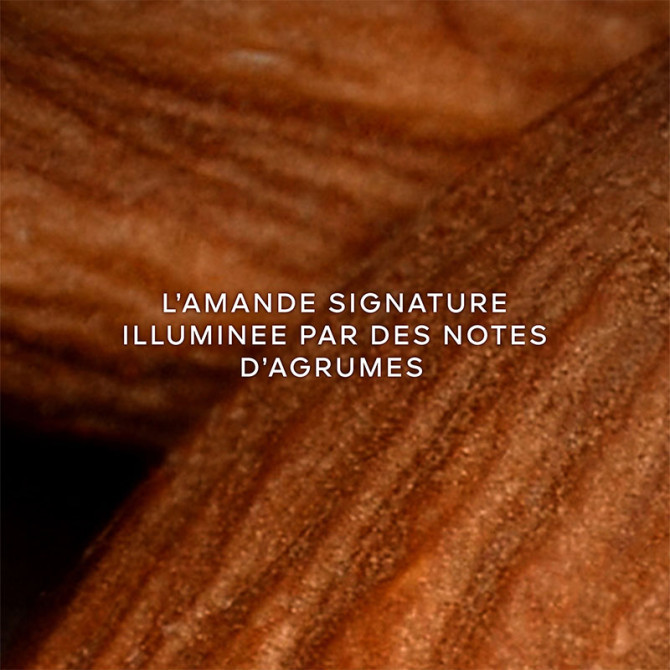 Coffret L'Homme Idéal