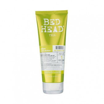 Re-Energize Conditioner