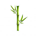 Spray Coiffant Bio au Bambou