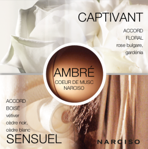 narciso-edp