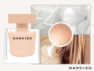 narciso-edpp3