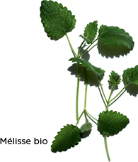 M&eacute;lisse bio