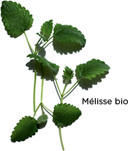 M&eacute;lisse bio
