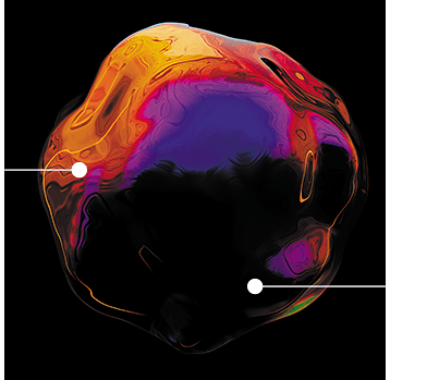 Vitamino Color Spectrum - actifs
